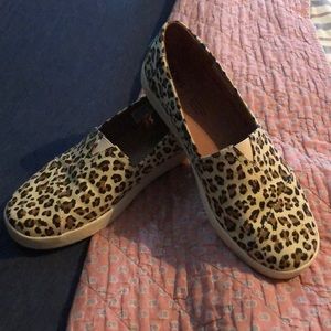 Tom Cheetah Shoes